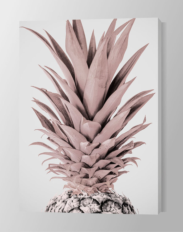 Light Pink Pineapple Canvas Print