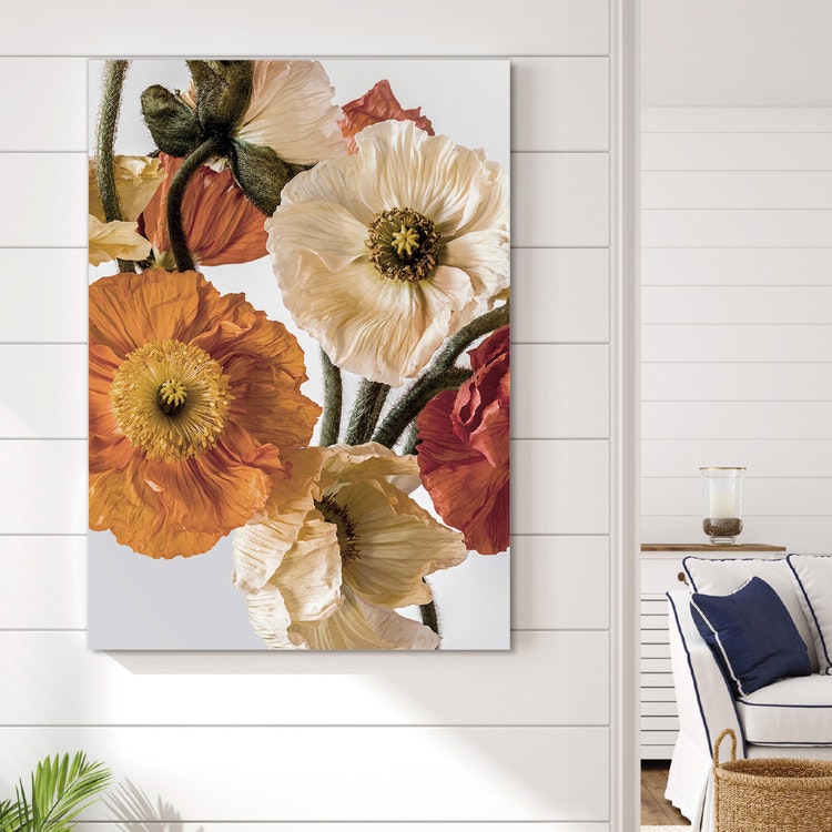 Light-colour Poppies 2 Canvas Print