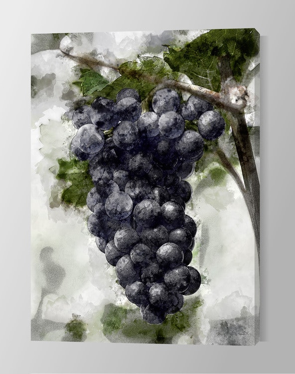 Grapes Canvas Print