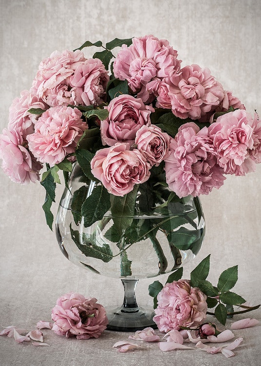 Bowl of Roses Canvas Print