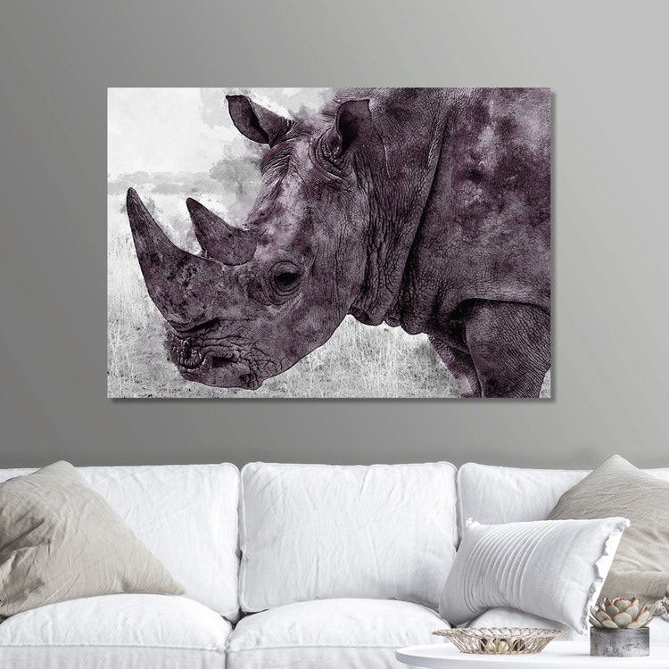 Rhinoceros Paint Canvas Print