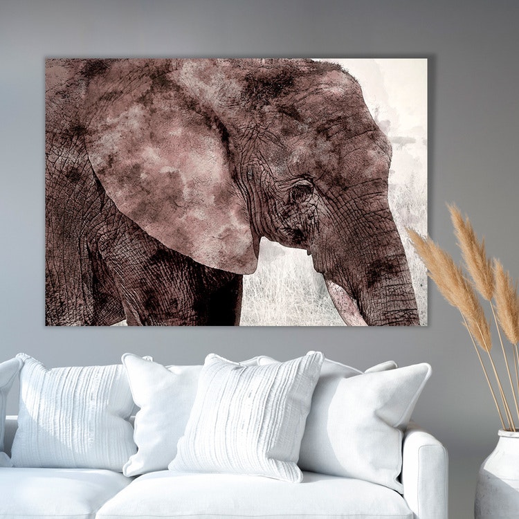 Elephant Paint Canvas Print