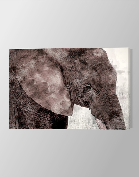 Elephant Paint Canvas Print