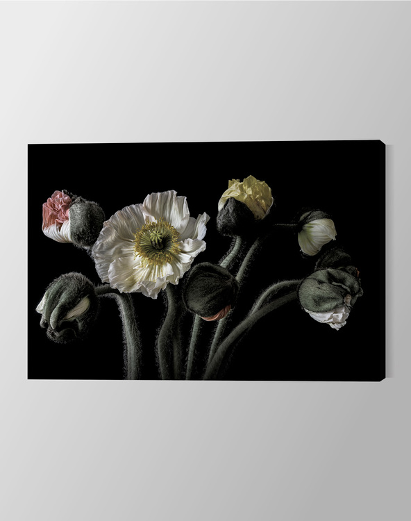 Poppy Bouquet Canvas Print