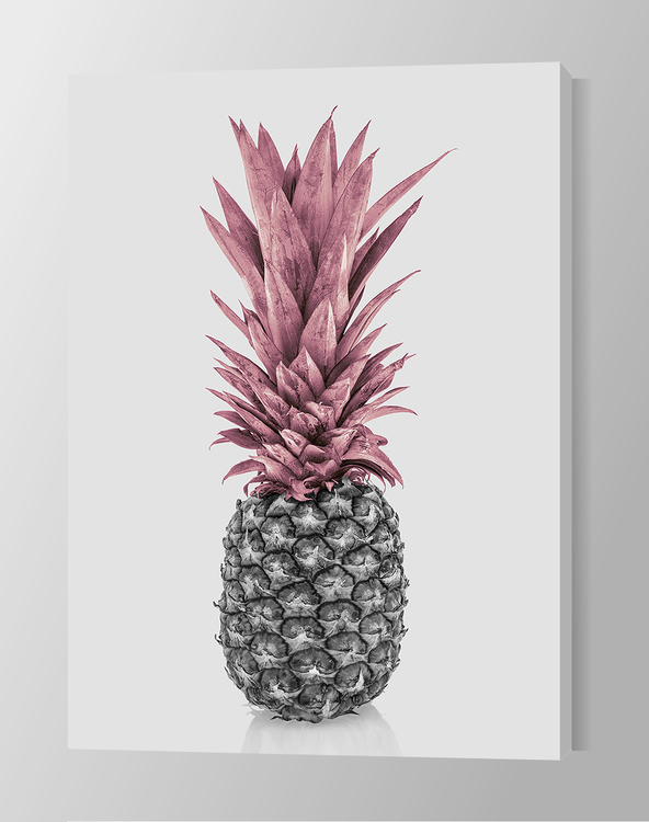 Pink Pineapple Canvas Print