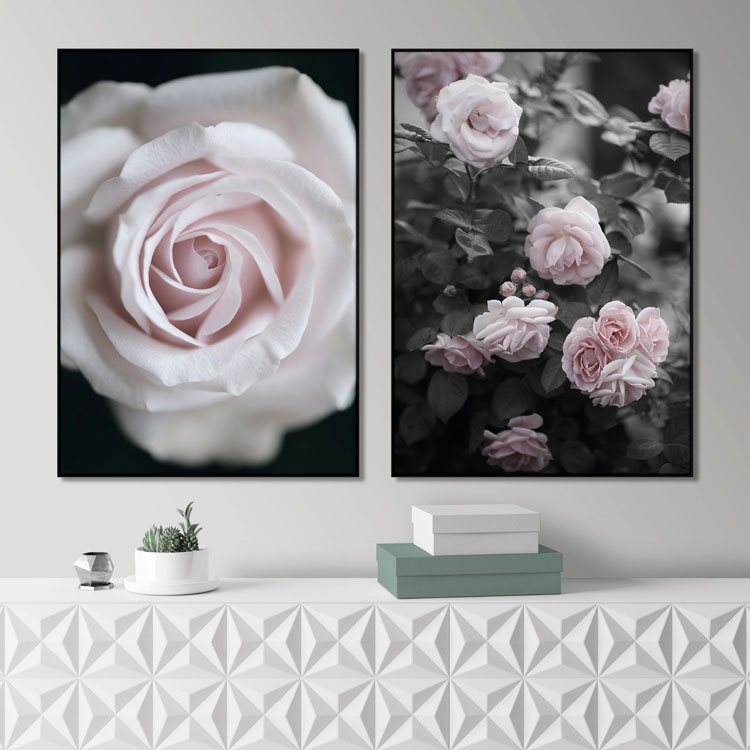 Gallery Wall Roses on black – Fine Art Print