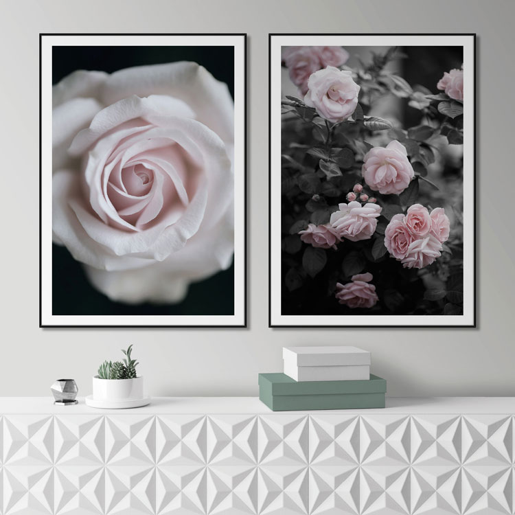 Gallery Wall Roses on black – Fine Art Print
