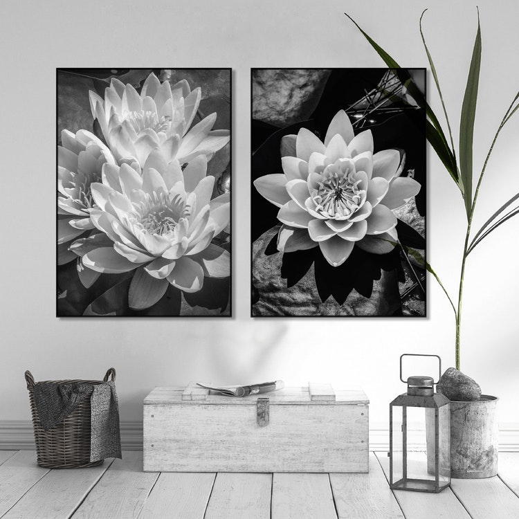 Gallery Wall Water Lilies – FIne Art Prints