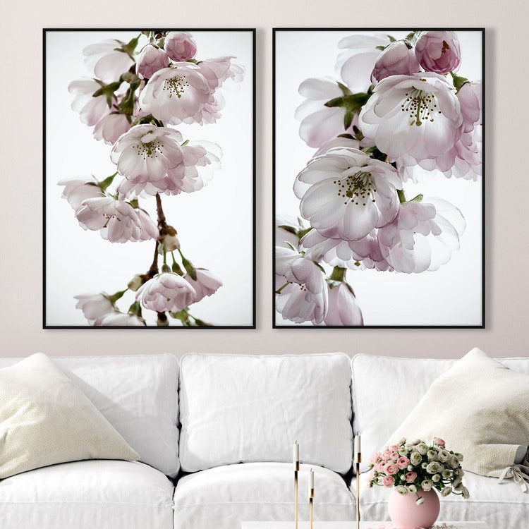 Gallery Wall Cherry Blossom – Fine Art Prints
