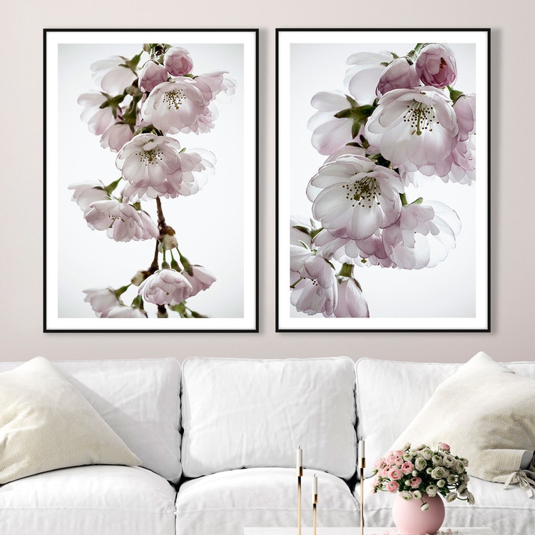 Gallery Wall Cherry Blossom Art Prints