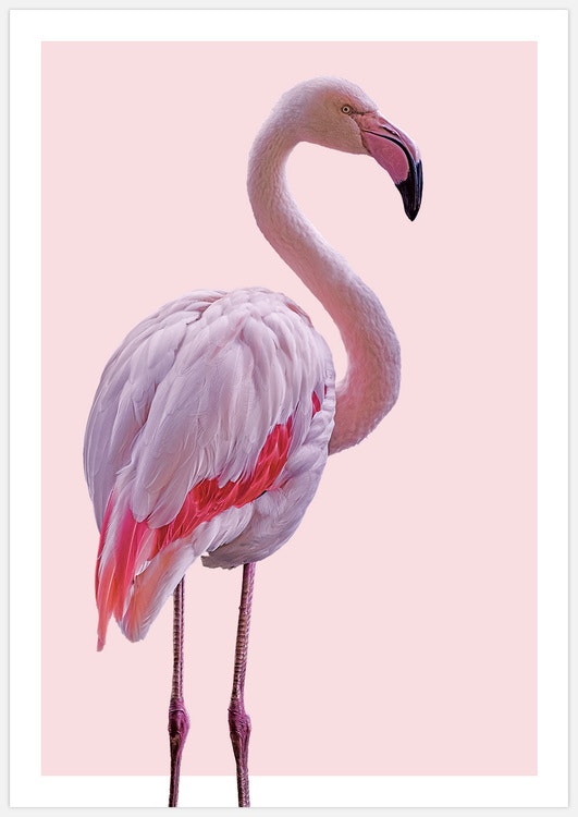 Gallery Wall Pink Flamingos – Fine Art Prints