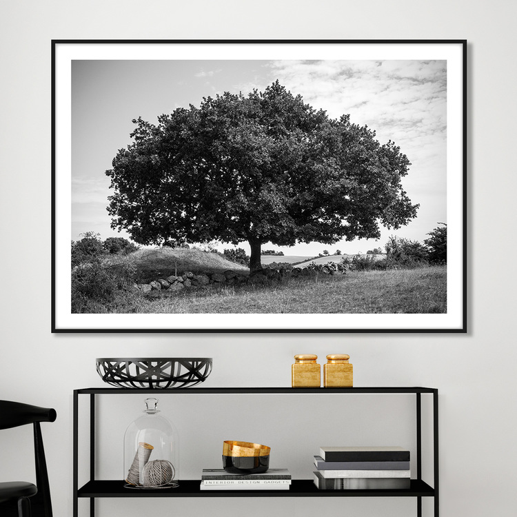 Gallery Wall Amazing Tree – Fine Art Print