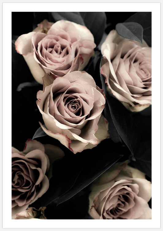 Gallery Wall Classical Roses inspiration