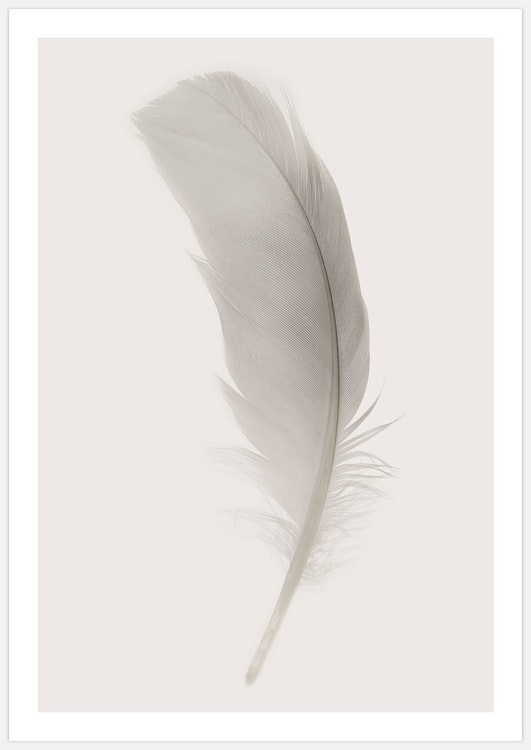 Gallery Wall Feathers – Fine Art Print