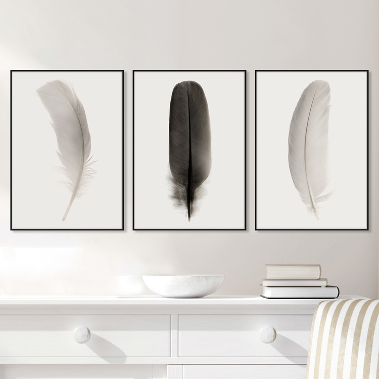 Gallery Wall Feathers – Fine Art Print