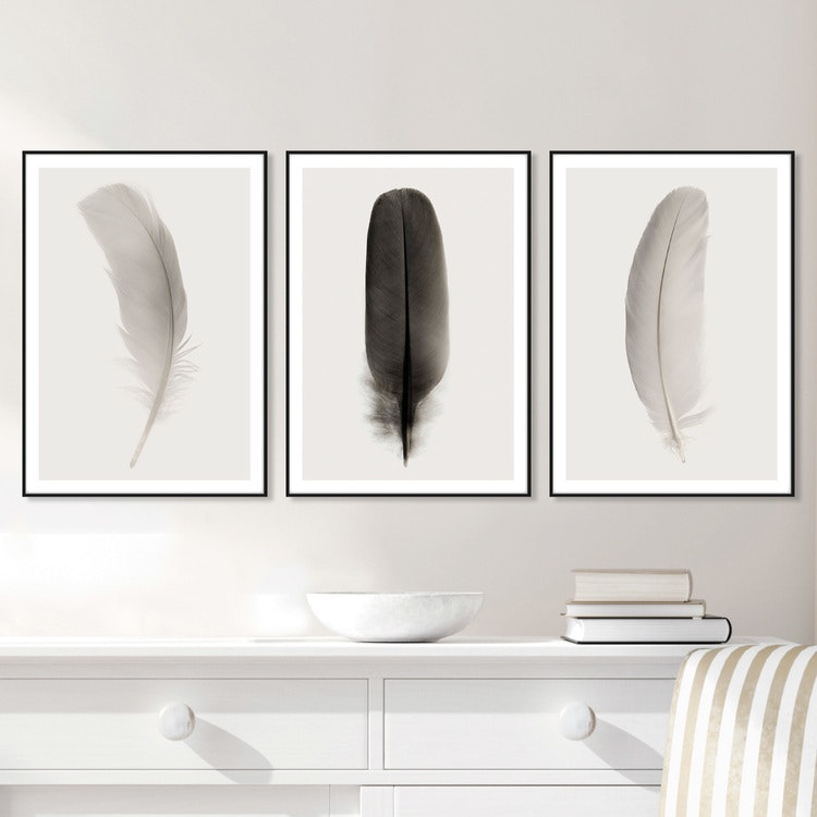 Gallery Wall Feathers – Fine Art Print