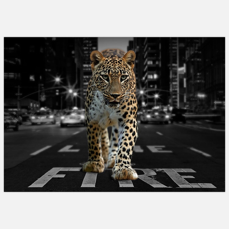 Gallery Wall City Leopard – Fine Art Print