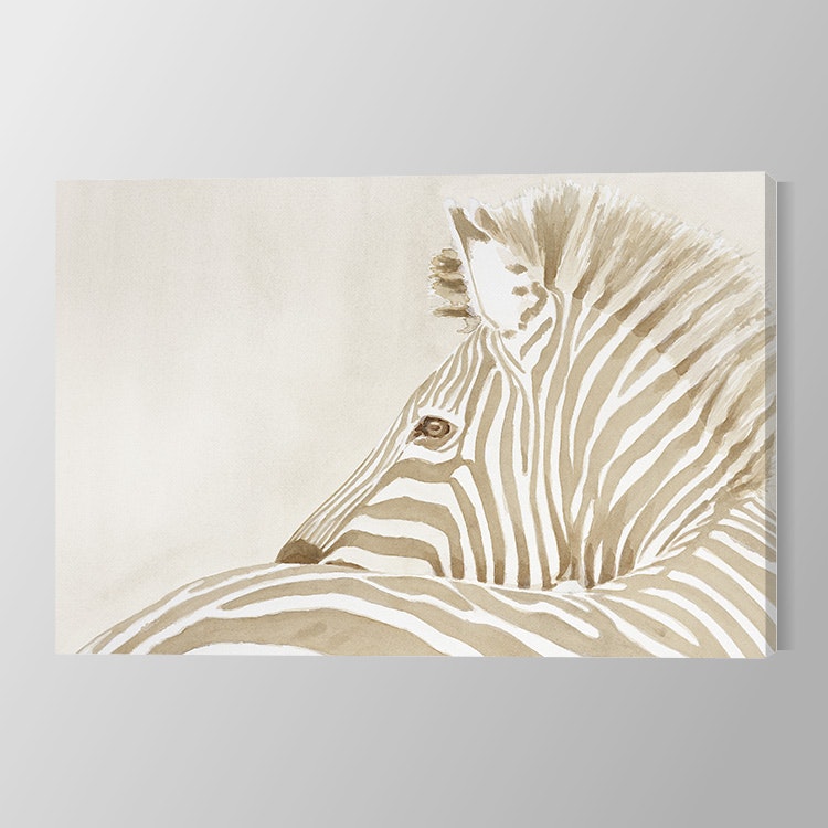 Zebra in beige Canvas Print