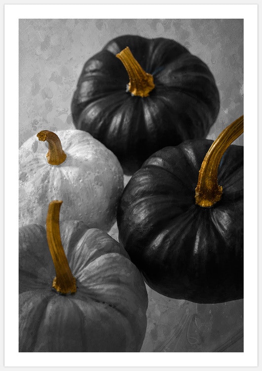 Gallery Wall Pumpkin Art – Fine Art Print