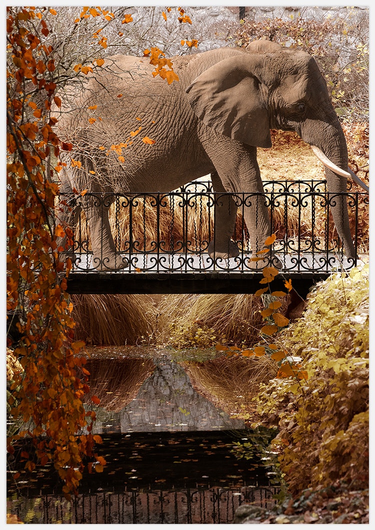 Wall Art Elephant Park in yellow Art Print, artwork Insplendor art studio.