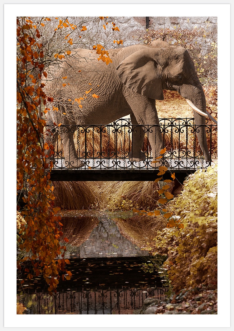 Elephant Park in yellow Art Print