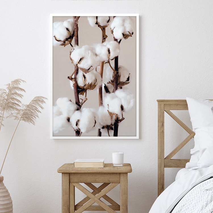 Gallery Wall Cotton 2 –  Fine Art Print