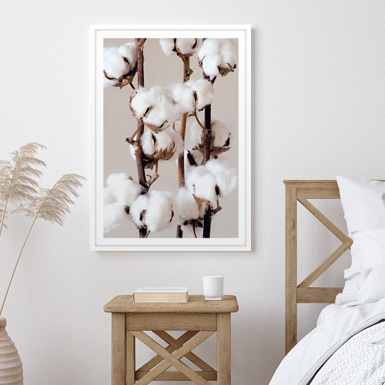 Gallery Wall Cotton 2 –  Fine Art Print