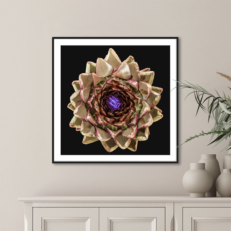 Gallery Wall The Artichoke – Fine Art Print