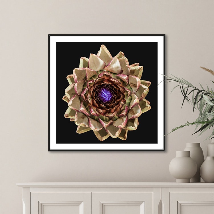 Gallery Wall The Artichoke – Fine Art Print