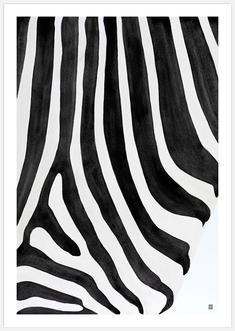 Zebra Pattern Art Print