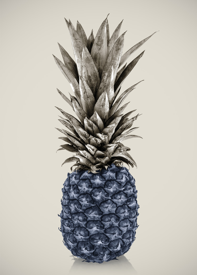 Blue Pineapple Canvas