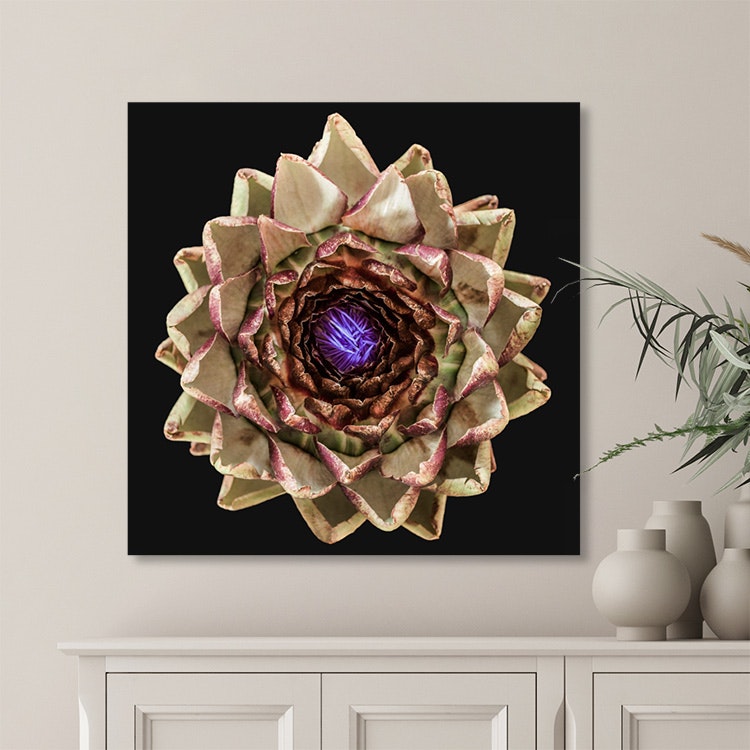 The Artichoke Canvas