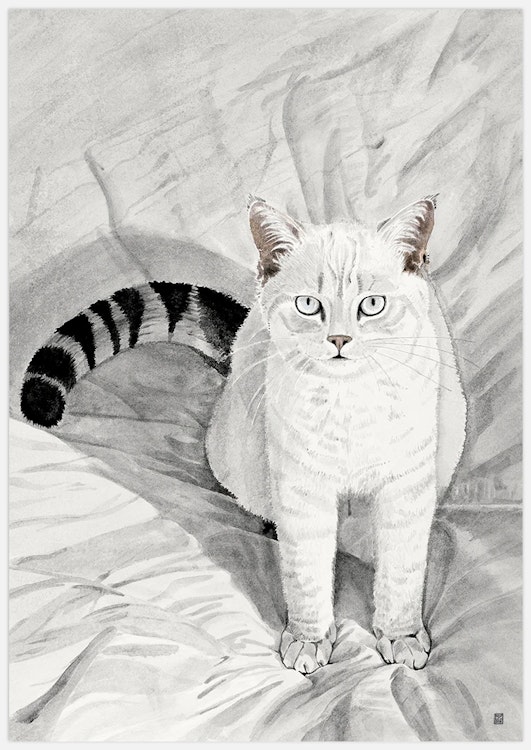 Cookie the Cat Art Print