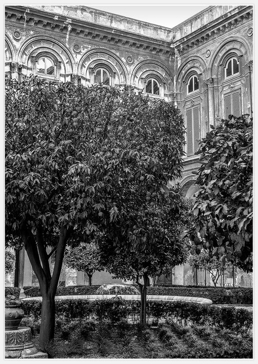 Italian Garden back & white