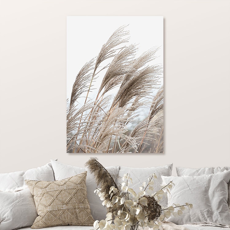 Reeds Canvas Print