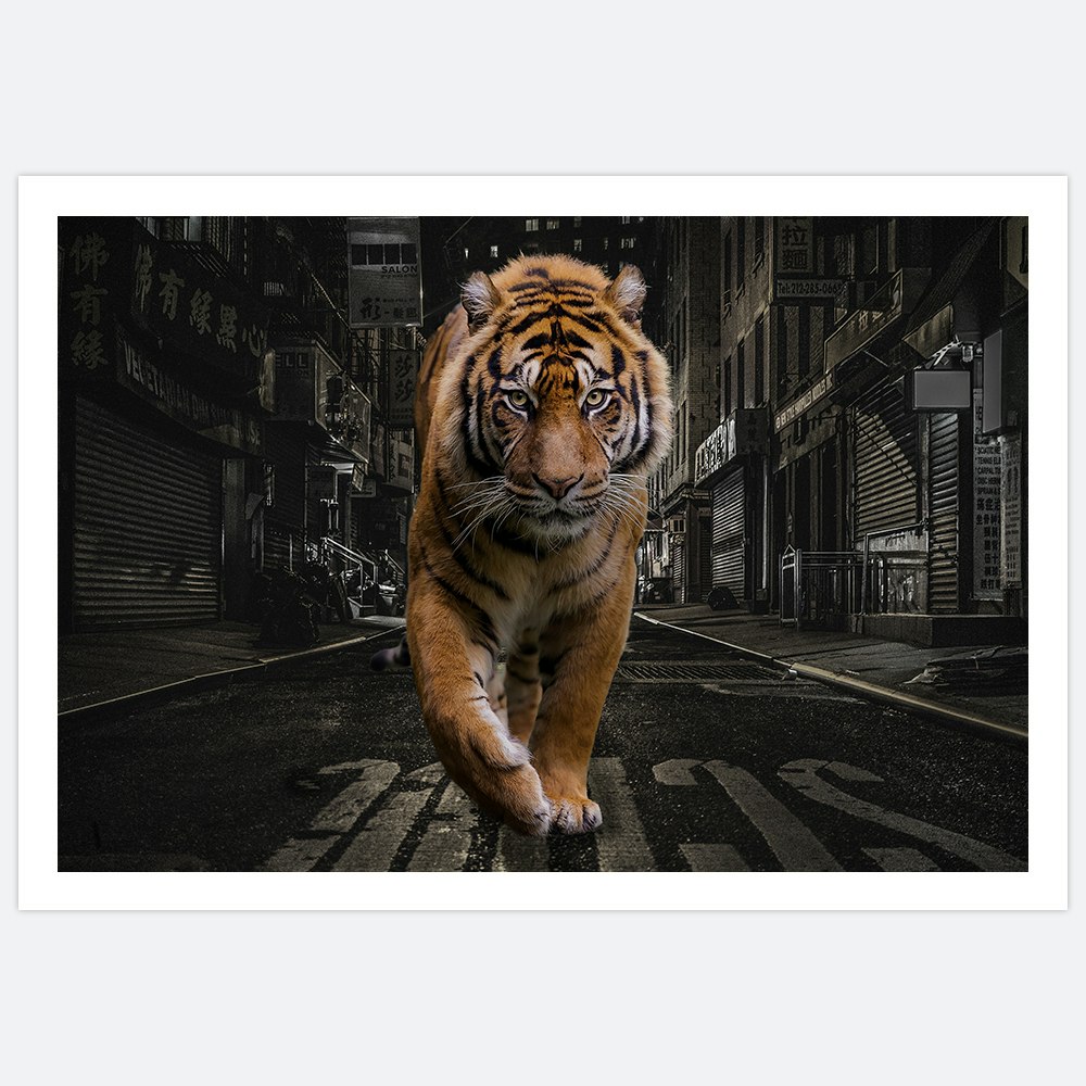 Gallery Wall City Tiger – Fine Art Print