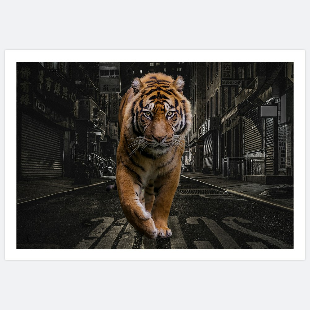 City Tiger Art Print