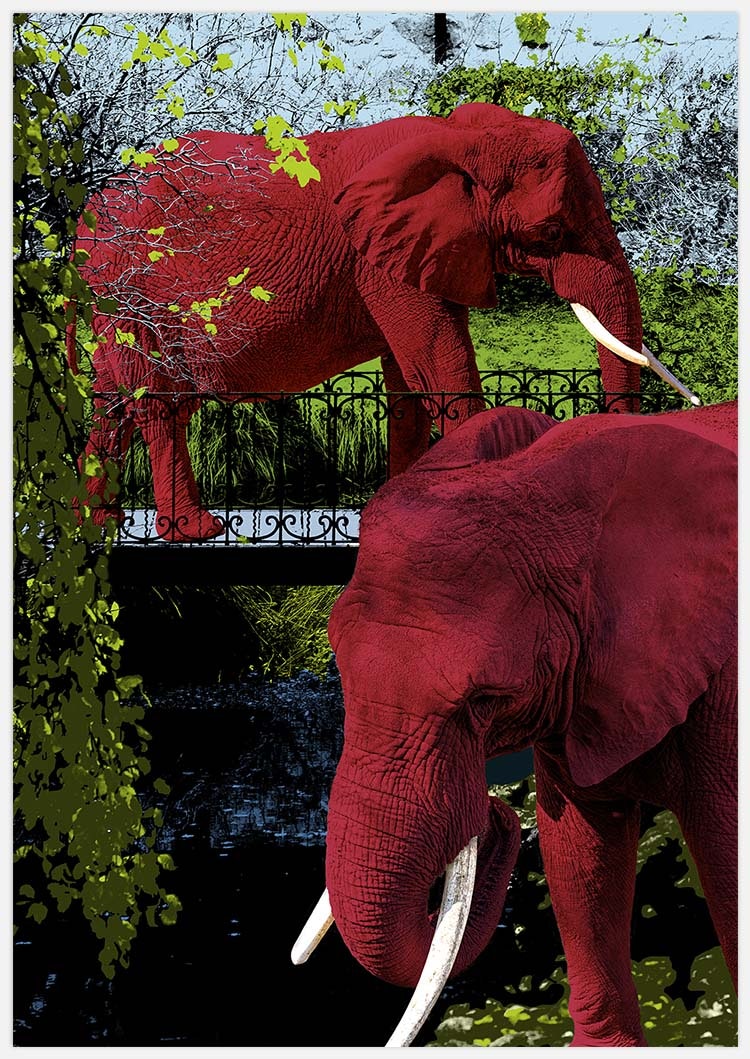 Gallery Wall Elephant Park –  Fine Art Prints