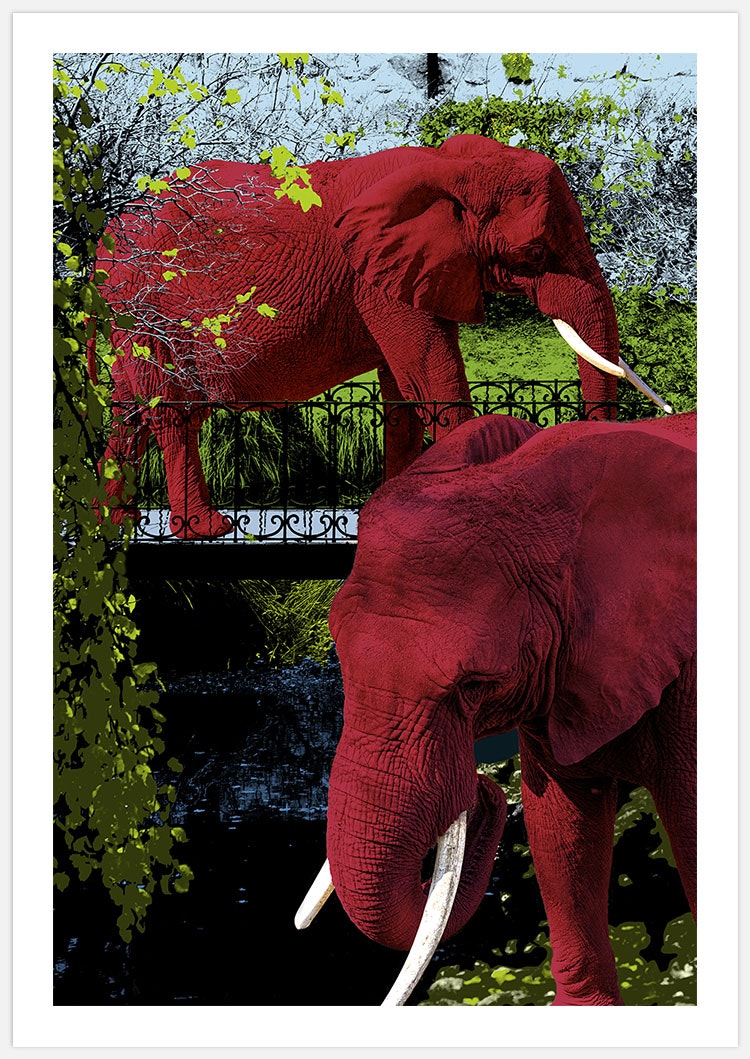 Gallery Wall Elephant Park –  Fine Art Prints