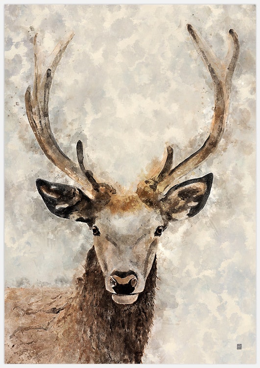 Deer in the fog Art Print