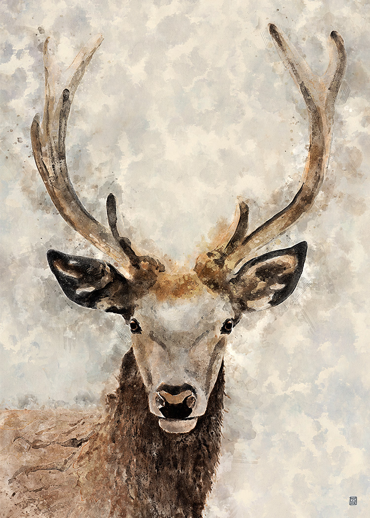 Deer Canvas Print