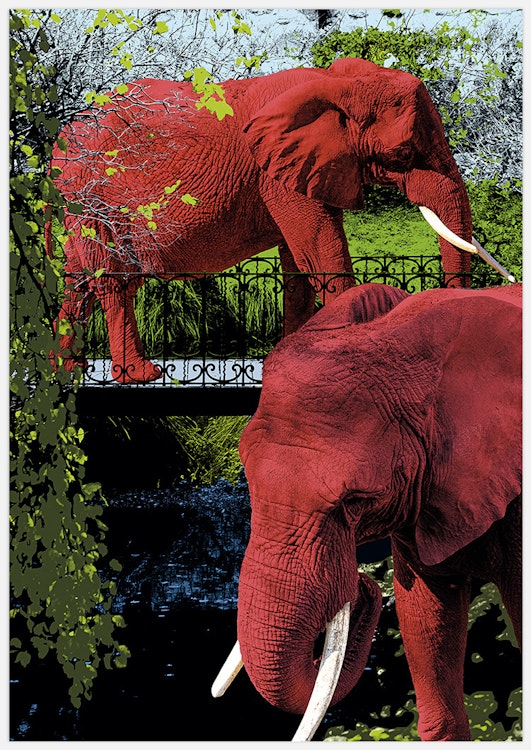 Elephant Park Art Print