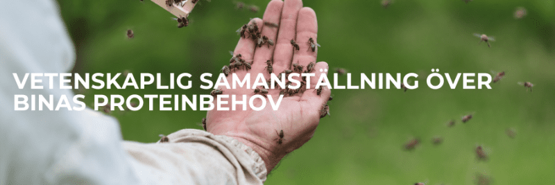 Vetenskaplig samanställning över binas proteinbehov