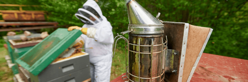 Binas hälsa kräver helhetstänk – mer än bara varroa