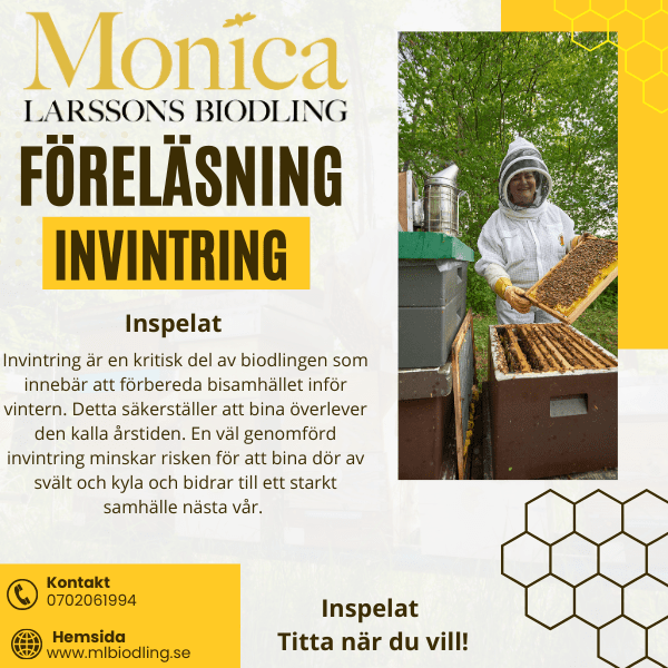 Monica Larssons Biodling