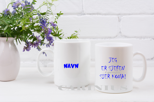 Jeg er sjefen i garasjen, sier kona!