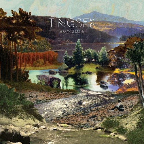 Tingsek - Amygdala (CD)