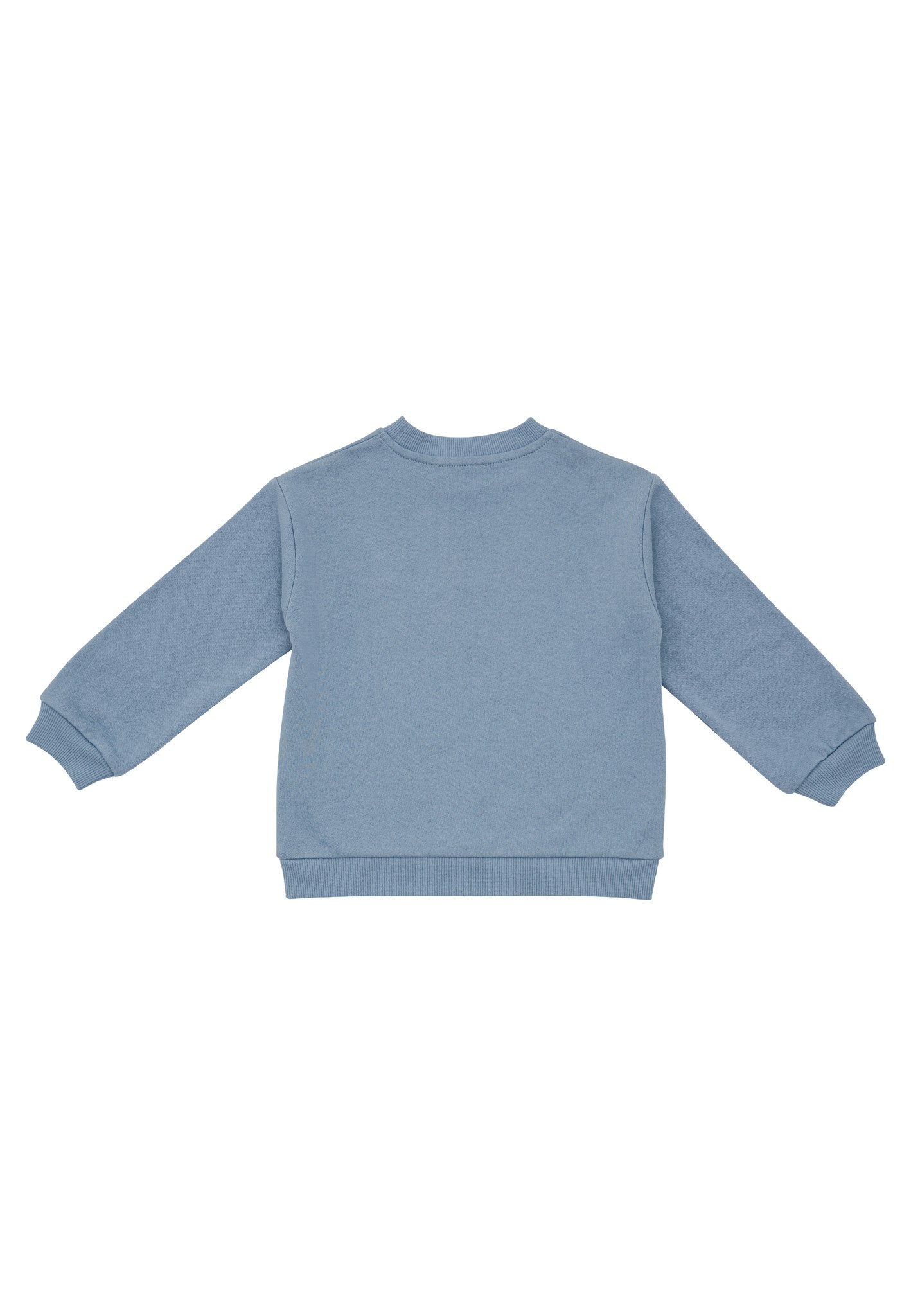 Sweatshirt med Lama-tryck (med borstad insida)