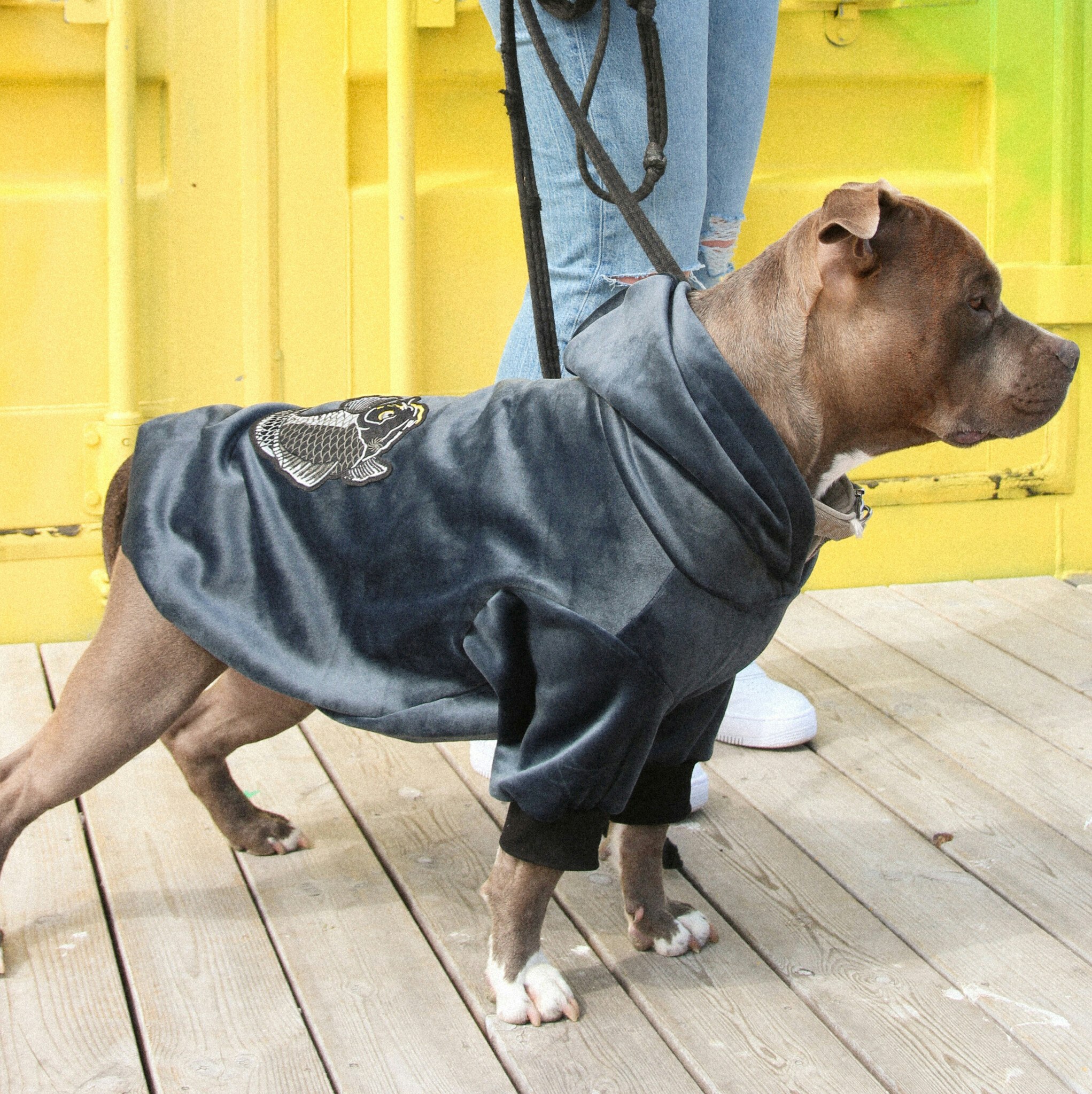 Hundtröja | Köp grön tröja till din hund | Hos Buddieroom - Buddieroom |  Hundkläder för stora hundar | Handla online
