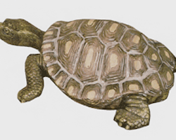 Sköldpadda S-1495